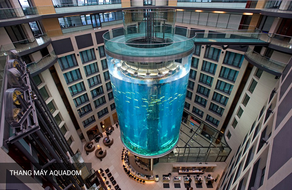 Thang máy Aquadom đặt trong lòng bể cá kính khổng lồ